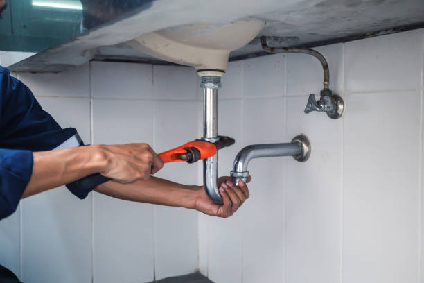 Best Clogged Drain Plumber  in Holbrook, AZ